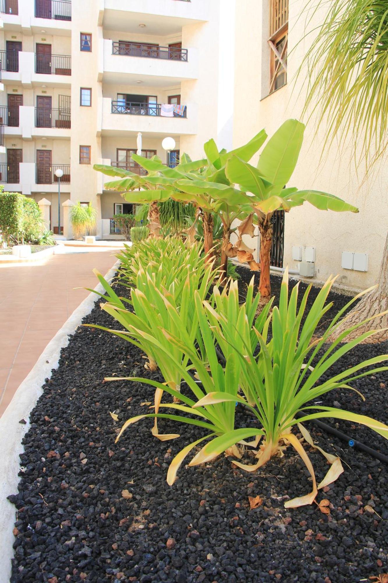 Las Americas - 2 Bedrooms - Flayla-A Арона Екстериор снимка